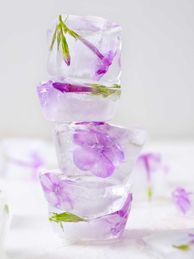 Gelo com flores para drinks